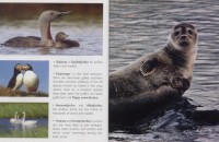 Turystyczna mapa Islandii Wschodniej