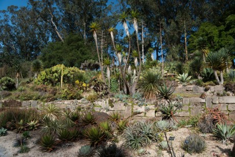 San Francisco Botanical Garden