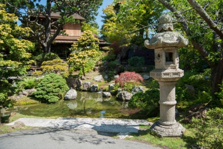 San Francisco Japanese Tea Garden
