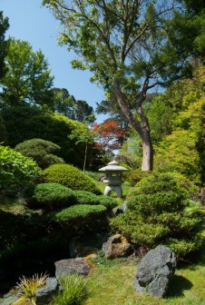 San Francisco Japanese Tea Garden