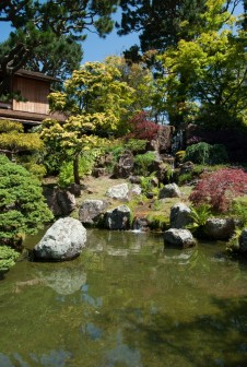 San Francisco Japanese Tea Garden