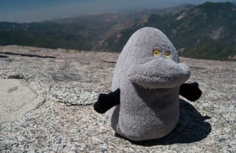 Sequoia National Park - Moro Rock