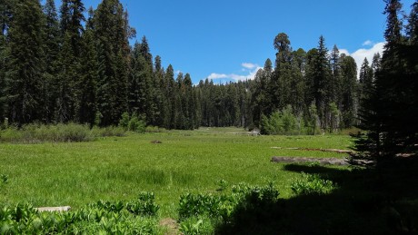 Sequoia National Park - Crescent Meadow