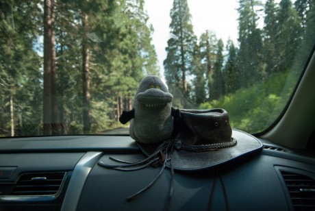 Sequoia National Park