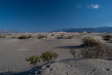 Mesquite Sand Dunes