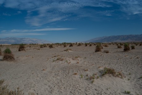 Devils Cornfield