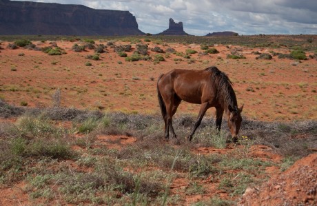 Monument Valley