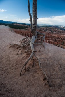 Sunset Point w Bryce