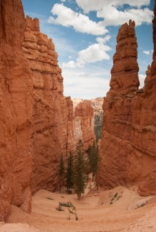 Navajo Loop Bryce