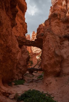 Navajo Loop Bryce