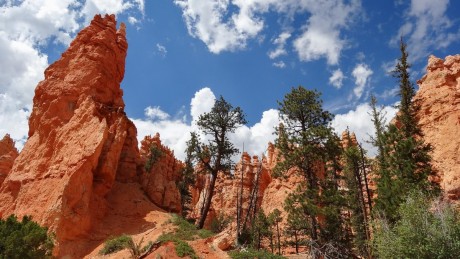 Navajo Loop Bryce