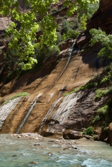 The Narrows Bottom to Up w Zion