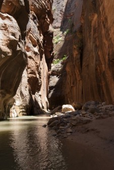 The Narrows Bottom to Up w Zion