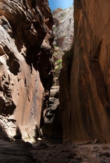 The Narrows Bottom to Up w Zion