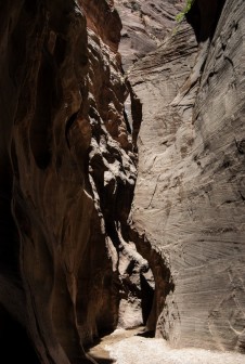 The Narrows Bottom to Up w Zion