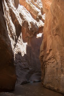 The Narrows Bottom to Up w Zion