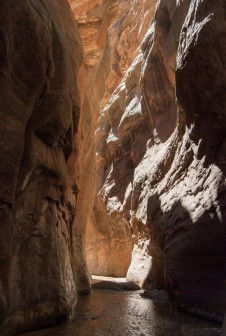 The Narrows Bottom to Up w Zion