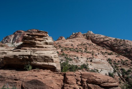 Overlook w Zion