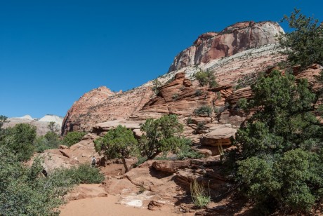 Overlook w Zion