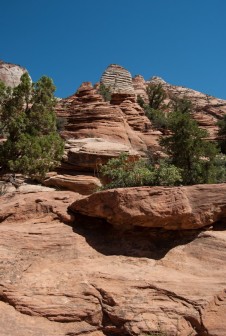 Overlook w Zion