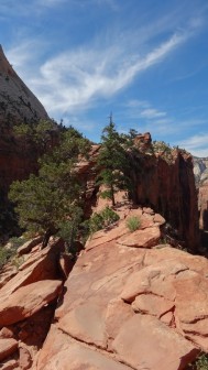 Angels Landing w Zion