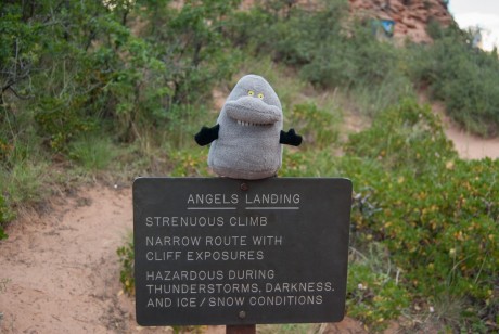 Angels Landing w Zion