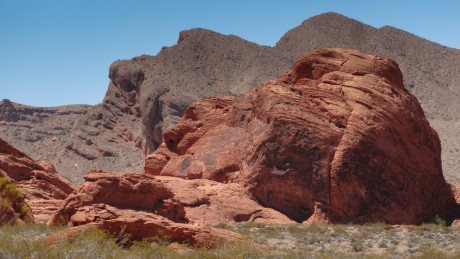 Face Rock - Valley of Fire State Park