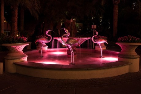 Flamingo - Las Vegas